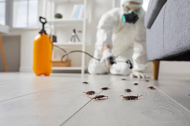 Commercial Kitchen Cockroach Control in Hanscom AFB