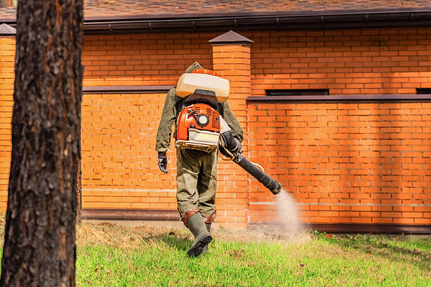 Cockroach Follow-Up and Monitoring in Hanscom AFB